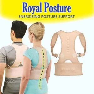 back support belt